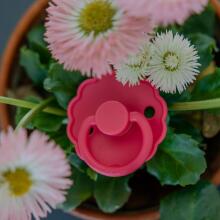 Frigg Daisy Round Latex Art.76221483 Chamomile/Honey gold Pacifier (nipple) made of 100% natural rubber 0-6 months (2 pcs.)