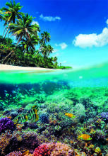 CLEMENTONI Puzzle suveparadiis, 1000 tk,, 39931