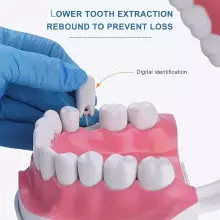Doctor Set Smile Dentist Teeth Art.260085 Noore/vapra hambaarsti komplekt - superkangelase naeratus