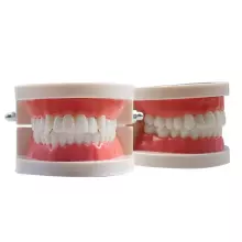 Doctor Set Smile Dentist Teeth Art.260086 Комплект для юного/смелого  зубного врача Челюсти-Улыбка супергероя