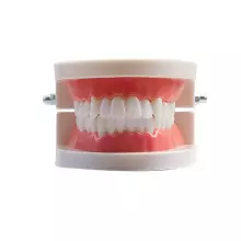 Doctor Set Smile Dentist Teeth Art.260086 Комплект для юного/смелого  зубного врача Челюсти-Улыбка супергероя