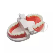 Doctor Set Smile Dentist Teeth Art.260086 Комплект для юного/смелого  зубного врача Челюсти-Улыбка супергероя