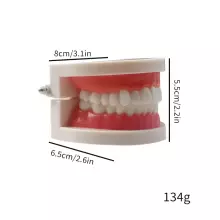 Doctor Set Smile Dentist Teeth Art.260086 Комплект для юного/смелого  зубного врача Челюсти-Улыбка супергероя
