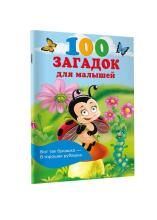 Kids Book Art.26328  100 mõistatust väikestele