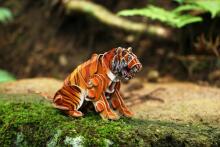 MAKEBUG 3D paberist pusle Siberi tiiger, MB-D-0020
