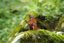MAKEBUG 3D paberist pusle Siberi tiiger, MB-D-0020