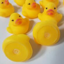 Quack-tastic Mini Rubber 6 Ducks Art.267880 Mini 12 kummist pardid 5.2X4.8cm