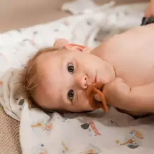 Haakaa Silicone Dummy  Art.TPS031 Amber Natural Rubber Pacifier