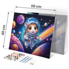 Numbrite järgi maal 40x50 cm Massido Astronaut