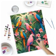 Numbrite maal 40x50 cm Massido papagoid