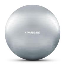 65 cm Treeningpall NS-951 Hõbedane