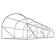Aedade tunnel 3 x 6 m (18m2) valge ploonos