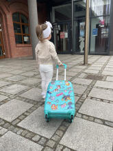 Paw Patrol Suitcase  Art.BC-PP-009  Детский чемодан на колёсиках