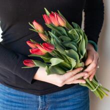 La Petit Fluer Art. LPT-TR51 Fresh Red tulips 51 psc