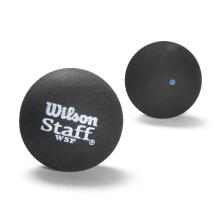 WILSON squash balls STAFF Pack of 2 - blue dot