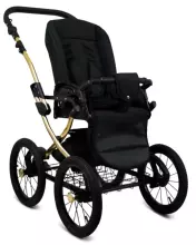 Babylux Margaret Gold Art.286153 Bouguets Peony  Classic 3-in-1 baby stroller
