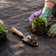 Black UV-resistant agro fabric 150 g/m² weed control mat 1.6×50 m, pins, MultiGarden