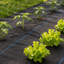 Black UV-resistant agro fabric 90 g/m² weed control mat 1.6×100 m, pins, MultiGarden