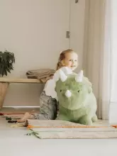 Wild&Soft Soft Bouncy Art.287136 Dino Laste džemprid