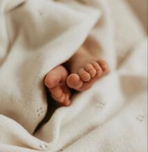 La bebe™ Soft Cotton Art.289999 Baby extra soft cotton blanket 100x118 cm