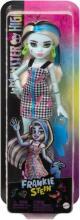 Monster High Frankie Stein nukk – 11 liigesega ja aksessuaaridega