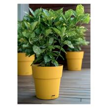 Lillepott alusega Ethica &Oslash;40x39cm sinepikollane