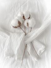 Bebe Basic Muslin Art. 051 Cotton muslin gauze swaddle 1 pc, 60x80 cm