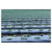 Kompostitav aiakile BioAgri Garden 1,2x7m 1&ndash;3-aastastele taimedele 35m&sup2; must