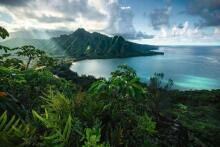 Ravensburger Puzzle 5000 tk Hawai