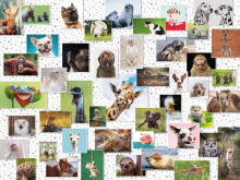 Ravensburger Pusle 1500 tk Naljakad Loomad Kollaaž