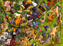 Ravensburger pusle 200 tk Troopiline vihmamets