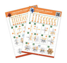 Buki Buki Puzzle Game for Experts