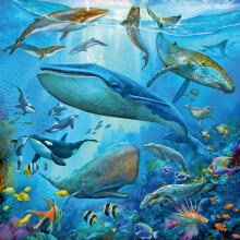 Ravensburger Puzzle 3x49 tk Ookeani Elu