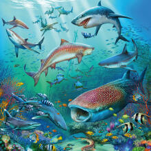 Ravensburger Puzzle 3x49 tk Ookeani Elu