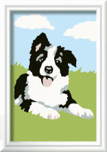 Ravensburger Värvi numbrite järgi Border Collie