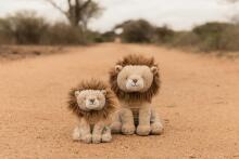 Little Dutch Cuddle Lion 17 cm Safari Friends GRS Art.8359