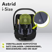 Lionelo Astrid I-Size Art.298201 Black Grey  Imiku turvahäll (0–13 kg)