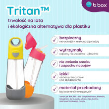 Set Mini Lunchbox + 450 ml Tritan Water Bottle with Straw, Sugar Plum, b.box