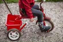 Italtrike  Passenger Champion Art.32931 Kids tricycle