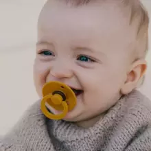 Bibs Colour Art.335544, pacifier, 100% natural