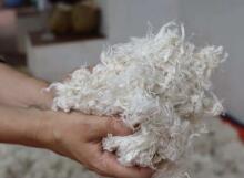 La Bebe™ New Zeland Wool Art.36629 Merino villast tekk