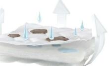 Danpol Art.DAN-GRYKO/140 Mattress buckwheat, coconut (140x70cm)