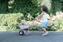 Little Dutch Wheelbarrow Fairy Garden  Art.9124 Aiakäru